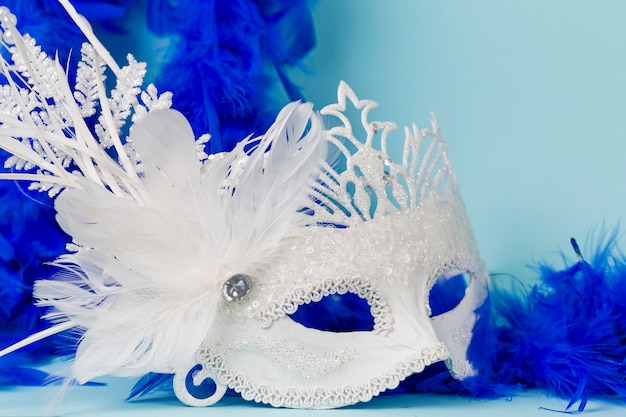 Masque de carnaval avec des plumes