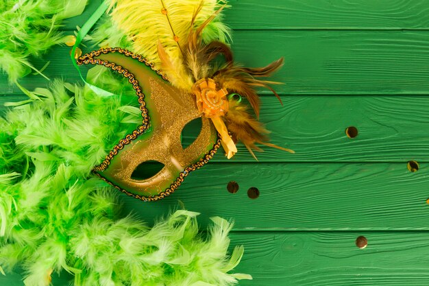 Masque de carnaval avec des plumes