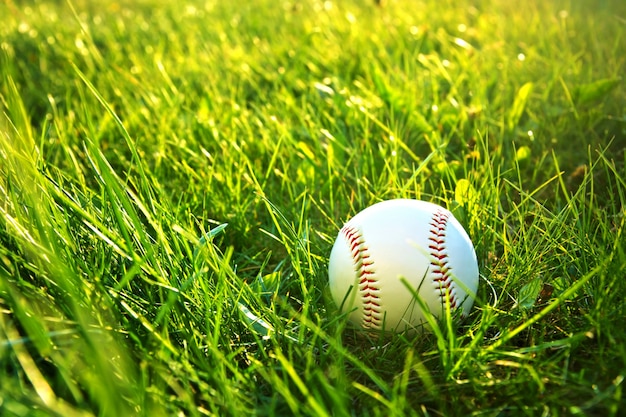 Photo gratuite match de baseball.