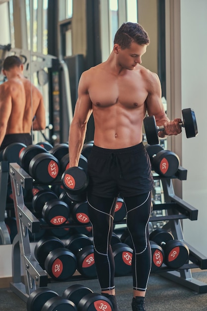 Mec nu sexy avec un corps musclé faisant de l'exercice avec des haltères sur un biceps à la salle de gym.