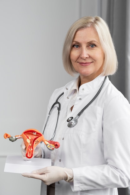 Médecin à coup moyen tenant un modèle anatomique