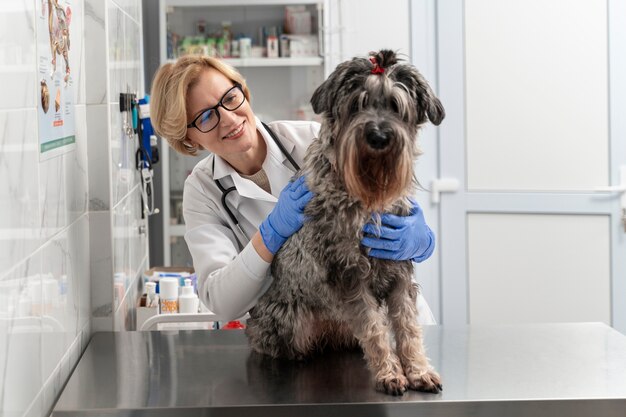 Médecin smiley coup moyen vérifiant le chien