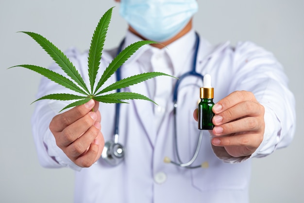 Médecin tenant une feuille de cannabis et une bouteille d'huile de cannabis sur un mur blanc.
