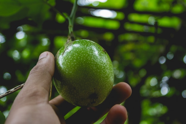 Mélanger un fruit de la passion