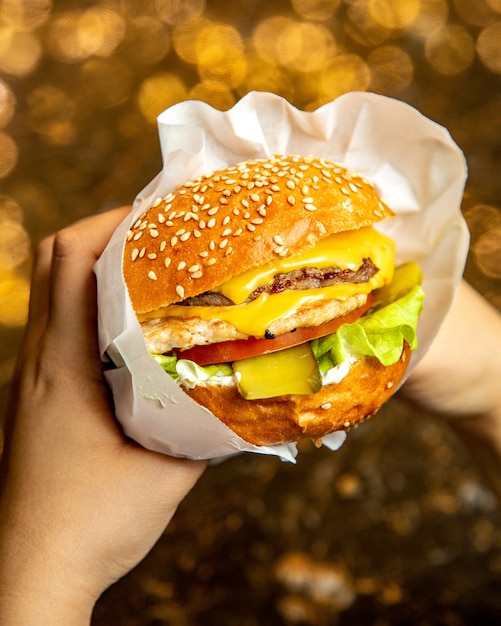 Photo gratuite mélanger la viande hamburger poulet laitue concombre tomate vue latérale