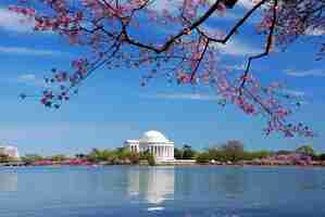 Photo gratuite mémorial national thomas jefferson washington dc