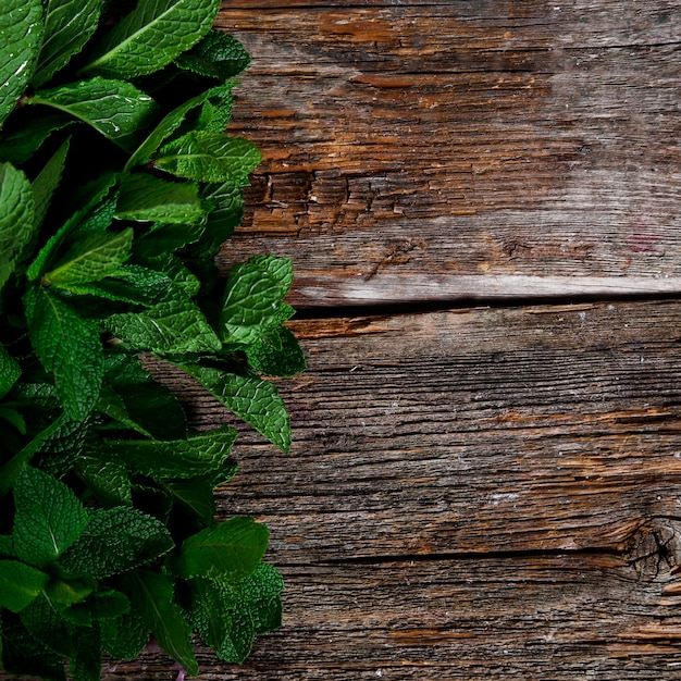 Menthe sur la table