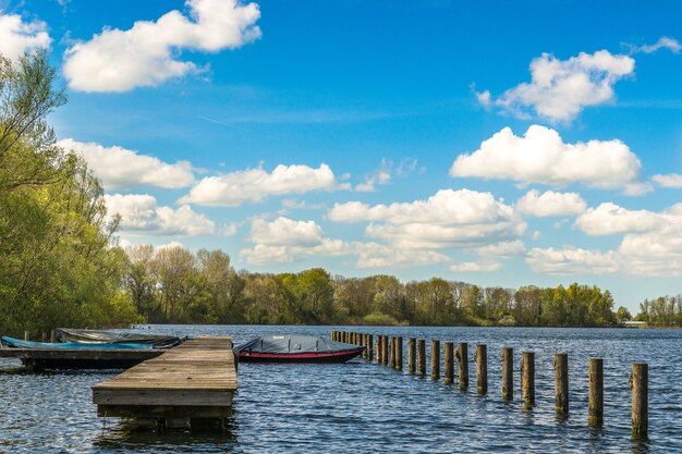 Mer avec bateaux près du quai et arbres verts au loin sous un ciel bleu