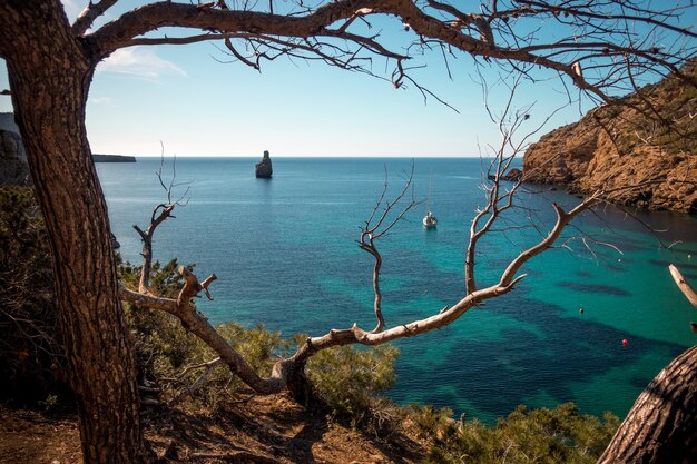 Mer entourée de rochers et de verdure sous la lumière du soleil à Ibiza