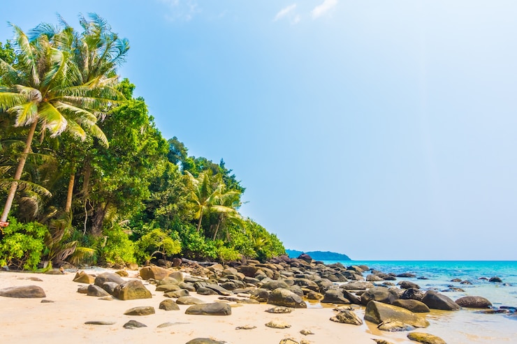Photo gratuit mer et plage