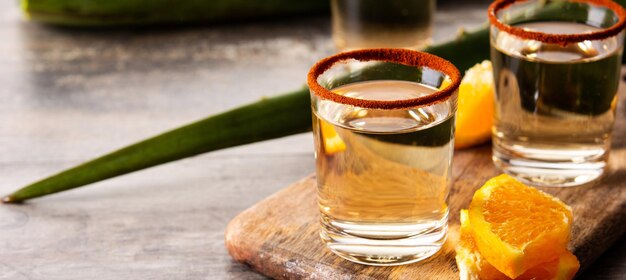 Mezcal boisson mexicaine avec des tranches d'orange et du sel de ver