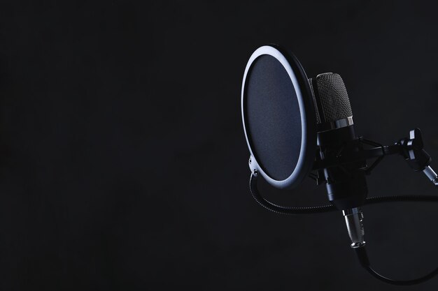 Microphone moderne