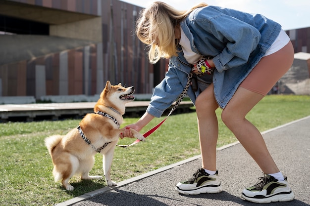 Mignon animal de compagnie shiba inu avec sa famille