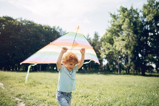 Mignon petit enfant dans un champ d'été avec un cerf-volant