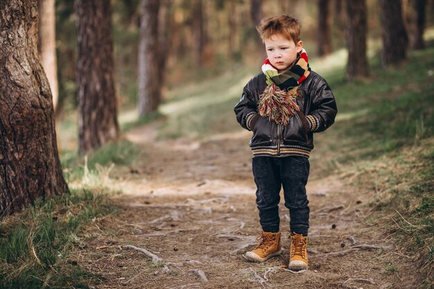 Mignon petit garçon dans la forêt seul