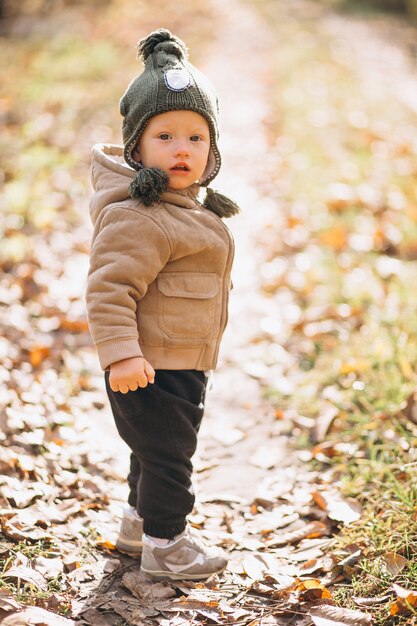 Mignon petit garçon dans un parc en automne
