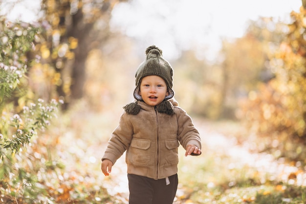 Mignon petit garçon dans un parc en automne