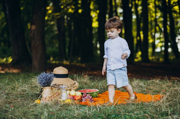 Mignon petit garçon dans le parc sur un pique-nique