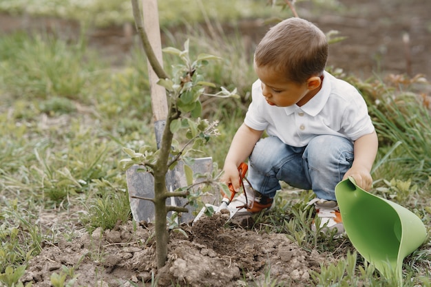 Mignon petit garçon plantant un arbre dans un parc