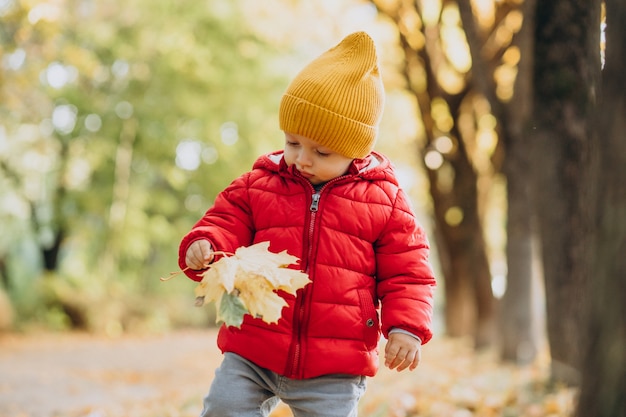 Mignon petit garçon en veste rouge dans le parc automnal