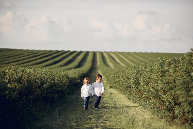 Mignons petits enfants dans un champ de printemps