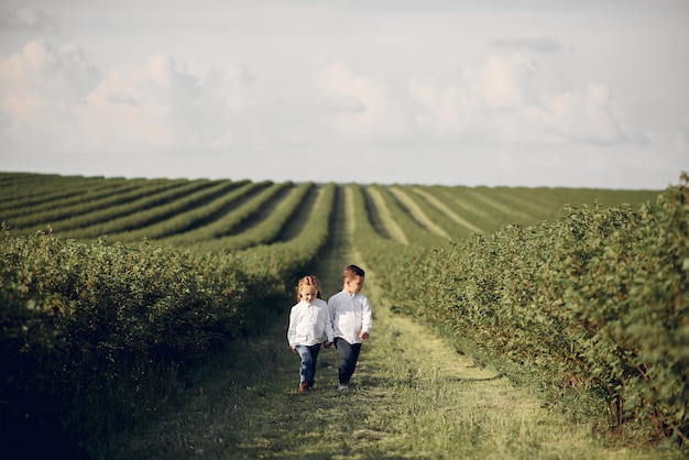 Mignons petits enfants dans un champ de printemps