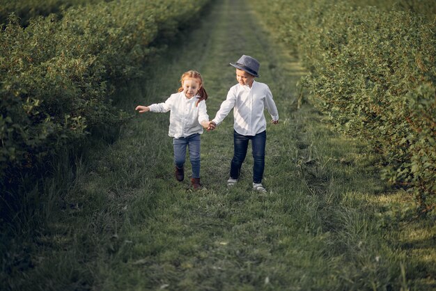 Mignons petits enfants dans un champ de printemps