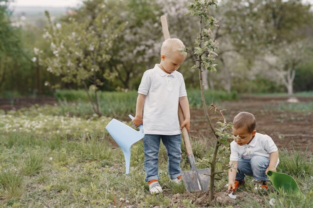 Mignons petits garçons plantant un arbre dans un parc