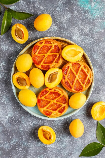 Mini tarte aux abricots rustique faite maison ou tartes aux fruits frais d'abricot.