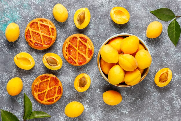 Mini tarte aux abricots rustique faite maison ou tartes aux fruits frais d'abricot.