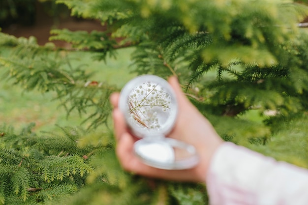 Miroir à la main sur fond de forêt