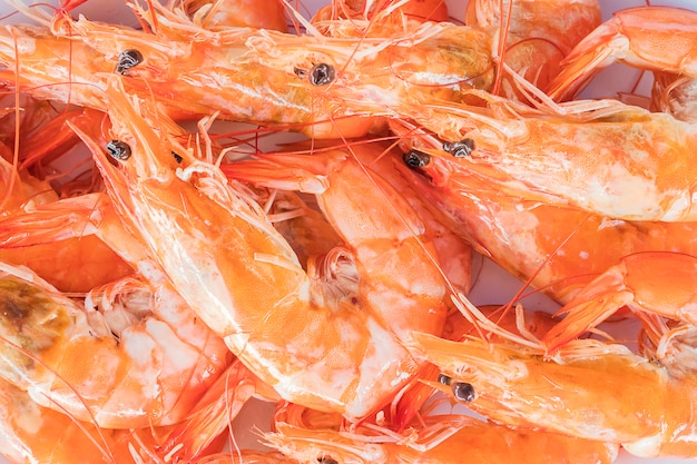 Mise au point sélective de crevettes à la vapeur dans une assiette blanche