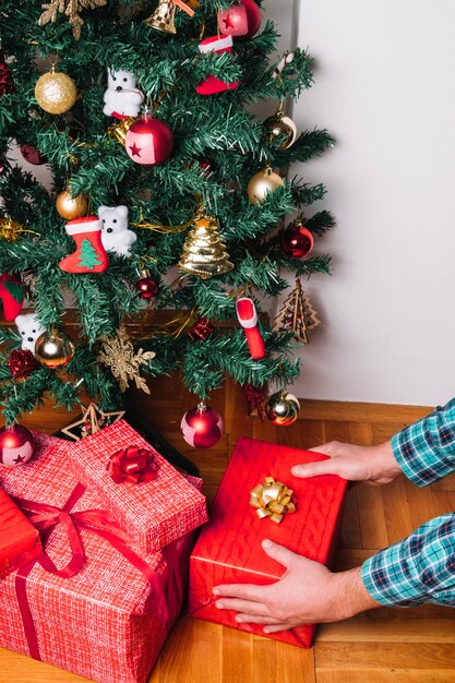 Mise en place de la boîte actuelle sous le sapin de Noël