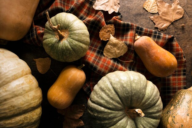 Mise à plat de l'assortiment de courges d'automne