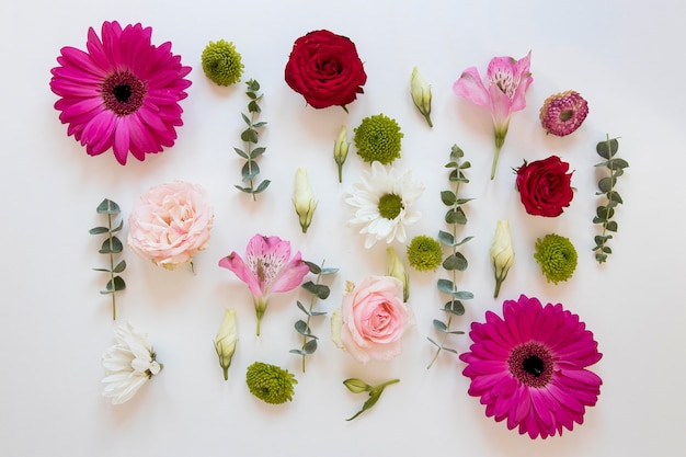 Mise à plat d'un assortiment de fleurs magnifiques