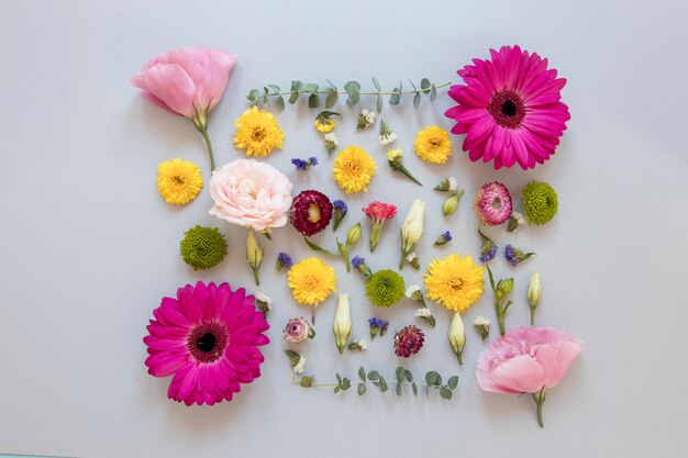 Mise à plat d'un assortiment de fleurs magnifiques