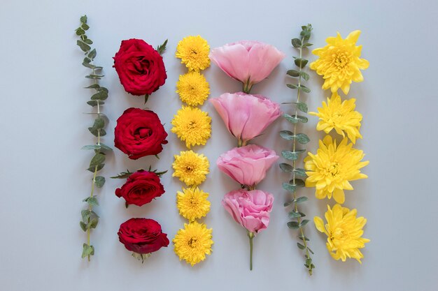 Mise à plat d'un assortiment de fleurs magnifiques