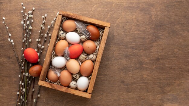 Mise à plat de boîte avec des oeufs pour Pâques et copie espace