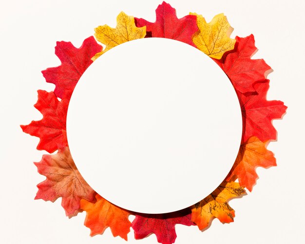 Mise à plat de différentes feuilles d'automne avec cercle de papier