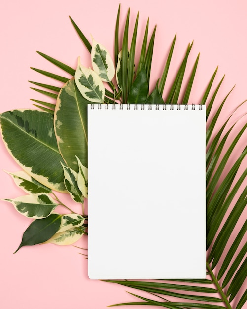 Mise à plat du cahier avec des feuilles de plantes