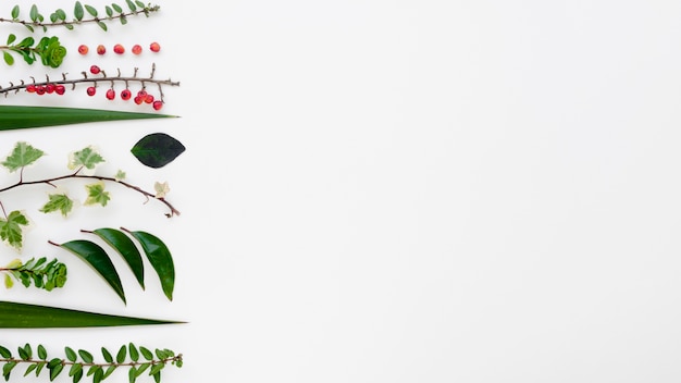 Mise à plat du concept de feuilles avec espace copie
