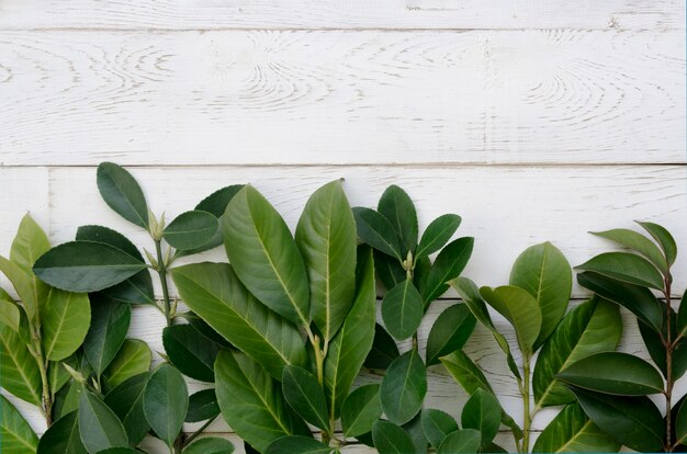 Mise à plat du concept de feuilles avec table en bois