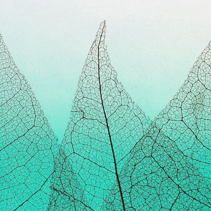 Photo gratuit mise à plat de feuilles transparentes colorées lamina