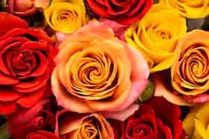 Photo gratuite mise à plat de fleurs colorées magnifiquement fleuries