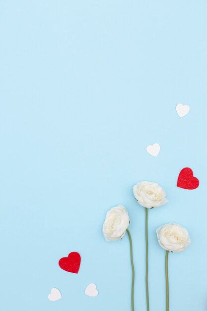 Mise à plat des fleurs de la Saint-Valentin avec copie espace et coeurs