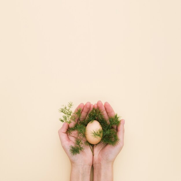 Mise à plat des mains tenant l'oeuf de Pâques avec de la verdure en dessous