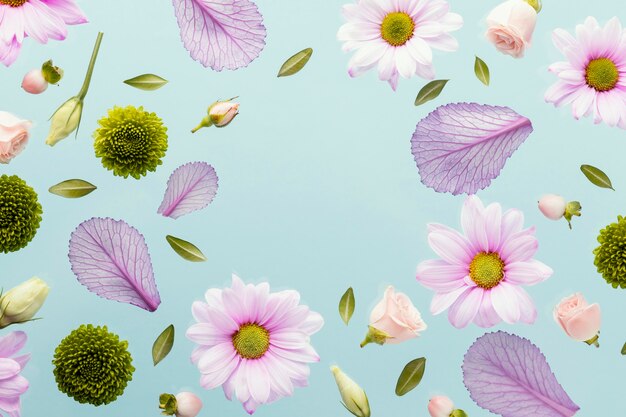 Mise à plat de marguerites de printemps et de feuilles avec espace de copie