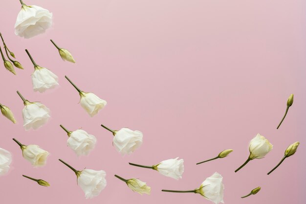 Mise à plat de roses de printemps avec espace copie