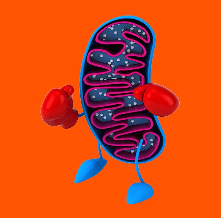 Photo gratuit des mitochondries de dessins animés 3d amusants