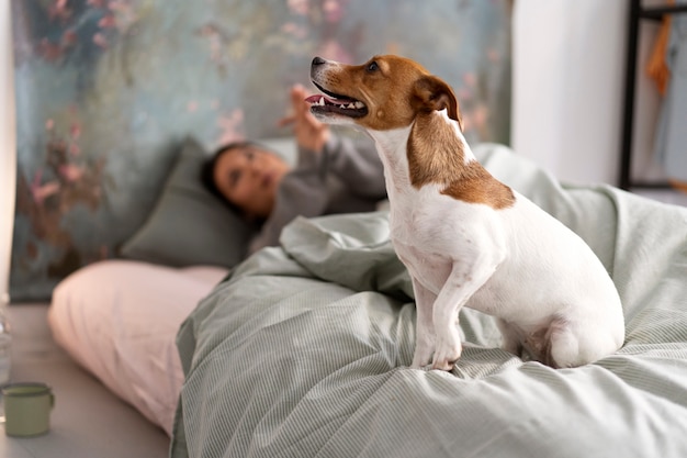 Mode de vie des animaux de compagnie avec le propriétaire